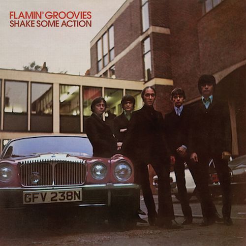 FLAMIN' GROOVIES / フレイミン・グルーヴィーズ / SHAKE SOME ACTION (LP)