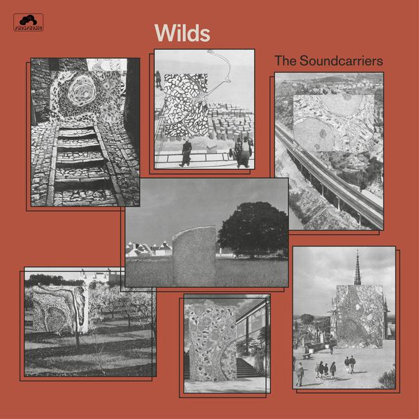 SOUNDCARRIERS / WILDS (VINYL)