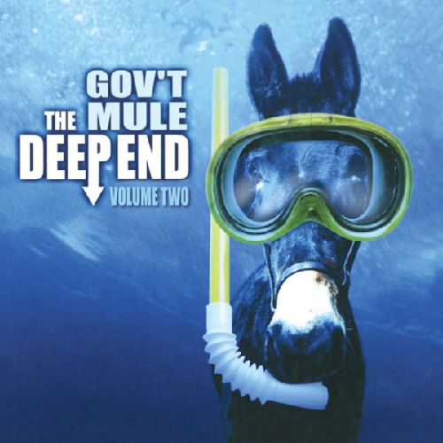 GOV'T MULE / ガヴァメント・ミュール / THE DEEP END VOLUME 2 (2LP BLUE VINYL)