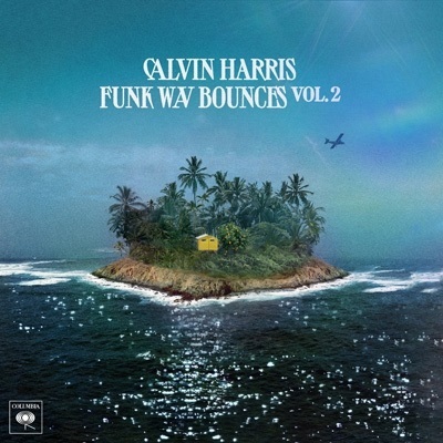 CALVIN HARRIS / カルヴィン・ハリス / FUNK WAV BOUNCES VOL.2 (CD)
