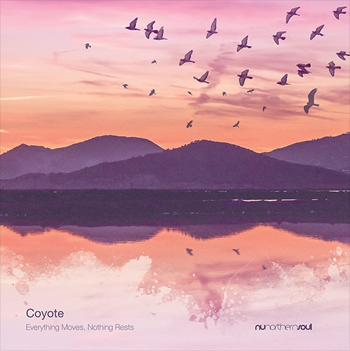 COYOTE (UK BALEARIC) / コヨーテ / EVERYTHING MOVES, NOTHING RESTS