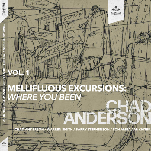 CHAD ANDERSON / チャド・アンダーソン / Mellifluous Excursions Vol. 1 - Where You Been