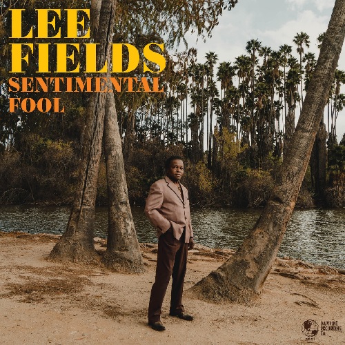LEE FIELDS / リー・フィールズ / SENTIMENTAL FOOL (LP)