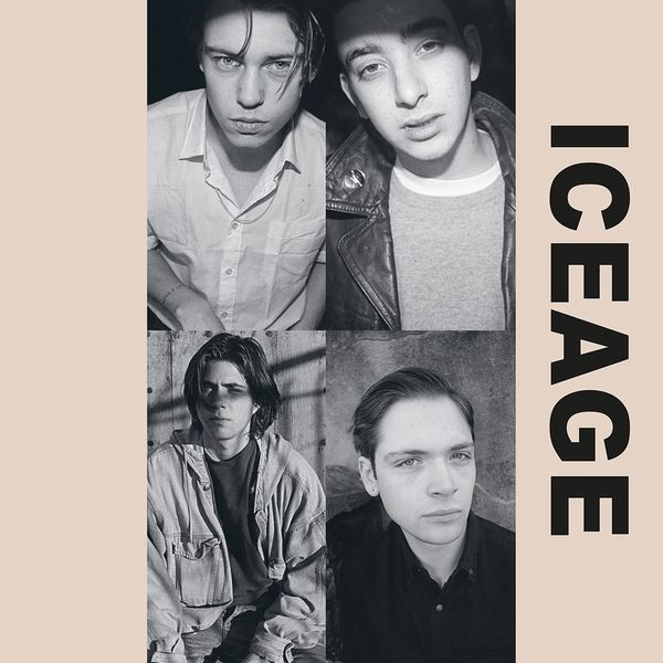 ICEAGE / アイスエイジ / SHAKE THE FEELING: OUTTAKES & RARITIES 2015-2021 (LP)