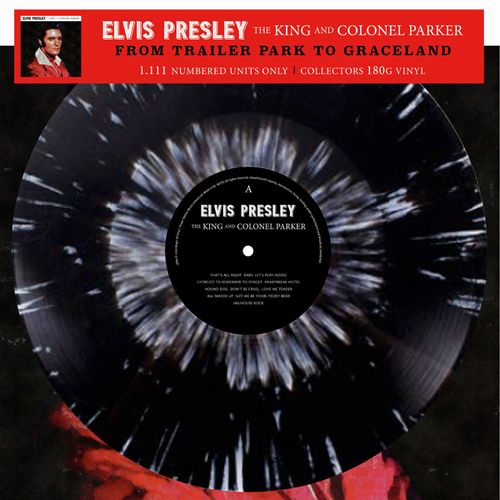 ELVIS PRESLEY / エルヴィス・プレスリー / FROM TRAILER PARK TO GRACELAND (SPLATTER) (LP)