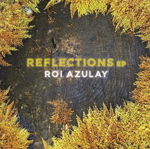 ROI AZULAY / ロイ・アズレイ / RELECTIONS EP (RON TRENT REMIX)