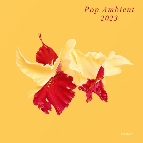 V.A.(POP AMBIENT) / POP AMBIENT 2023 (CD)
