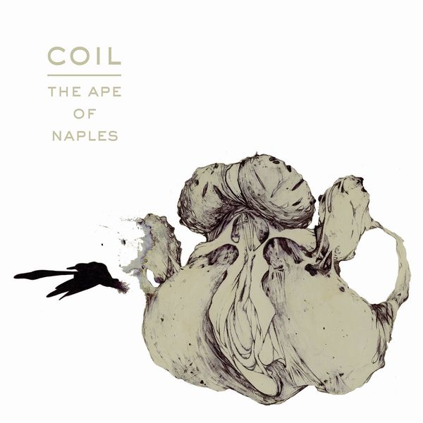 COIL / コイル / THE APE OF NAPLES (EXTENDED 2CD EDITION) VINYL LAYOUT