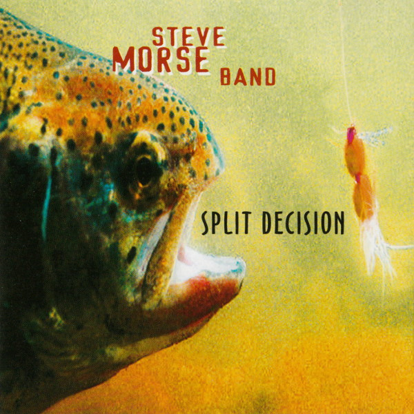 STEVE MORSE BAND / スティーヴ・モーズ・バンド / SPLIT DECISION(COLOR VINYL)