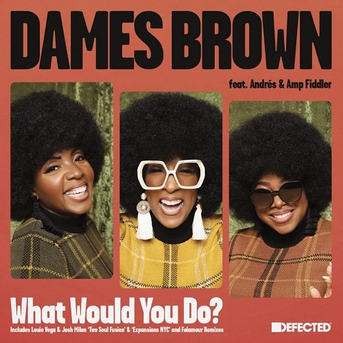 DAMES BROWN FEATURING ANDRES & AMP FIDDLER / デイムス・ブラウン・フィーチャリング・アンドレス&アンプ・フィドラー / WHAT WOULD YOU DO? (REMIXES)
