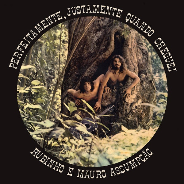 RUBINHO E MAURO ASSUMPCAO / フビーニョ & マウロ・アスンサォン / PERFEITAMENTE, JUSTAMENTE QUANDO CHEGUEI (LP)