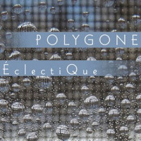 POLYGONE (PROG: CAN) / ECLECTIQUE