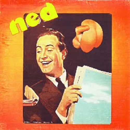 NED / NED(PAPER SLEEVE CD)
