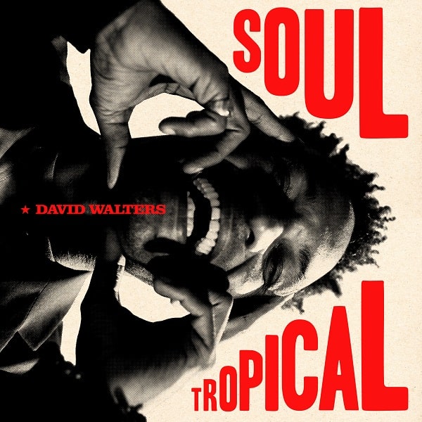 DAVID WALTERS / デヴィッド・ウォルターズ / SOUL TROPICAL