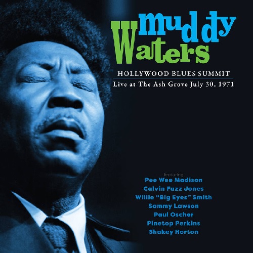 MUDDY WATERS / マディ・ウォーターズ / HOLLYWOOD BLUES SUMMIT 1971 (LP)