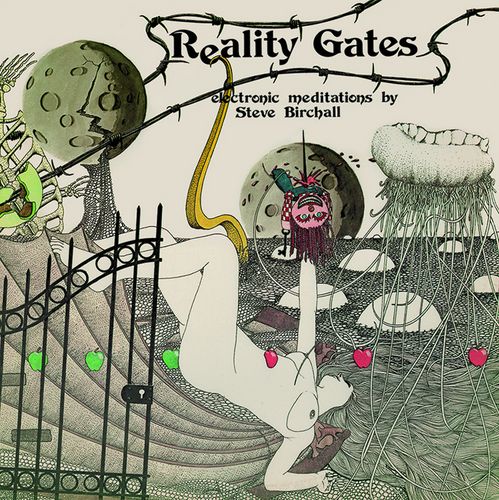 STEVE BIRCHALL / REALITY GATES (VINYL)
