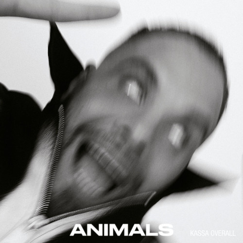 KASSA OVERALL / カッサ・オーバーオール / Animals(LP/CLEAR VINYL)
