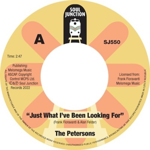 PETERSONS / JUST WHAT I'VE BEEN LOOKING FOR/WHAT'S IT GONNA BE (7")