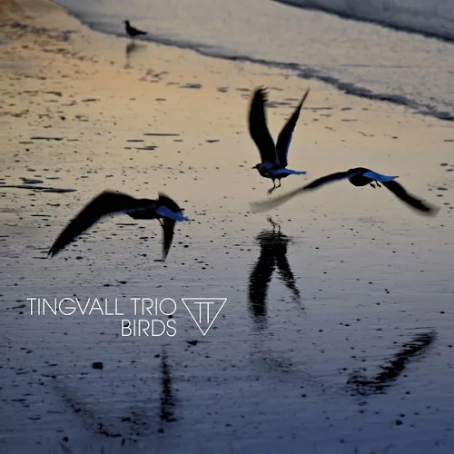 TINGVALL TRIO / ティングヴァル・トリオ / Birds(LP)