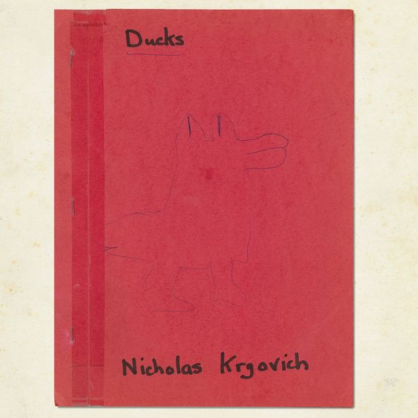NICHOLAS KRGOVICH / DUCKS (VINYL)