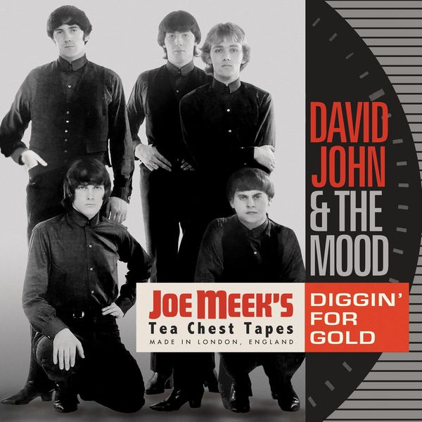 DAVID JOHN & THE MOOD / デヴィッド・ジョン・アンド・ザ・ムード / DIGGIN'FOR GOLD: JOE MEEK'S TEA CHEST TAPES