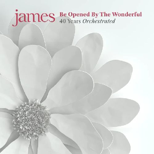JAMES / ジェイムズ / BE OPENED BY THE WONDERFUL (2LP)