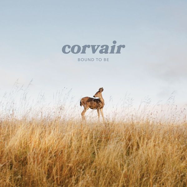 CORVAIR / CORVAIRS / BOUND TO BE