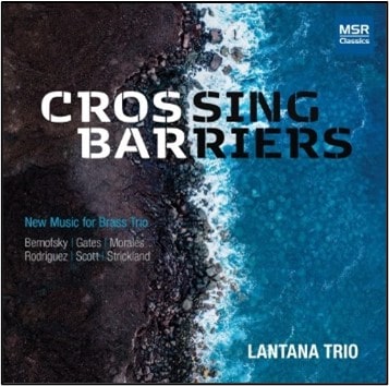 LANTANA TRIO / ランタナ・トリオ / CROSSING BARRIERS