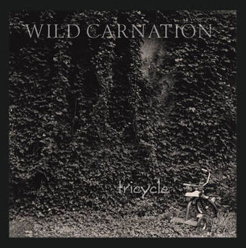 WILD CARNATION / ワイルド・カーネーション / TRICYCLE  (COLOURED VINYL)