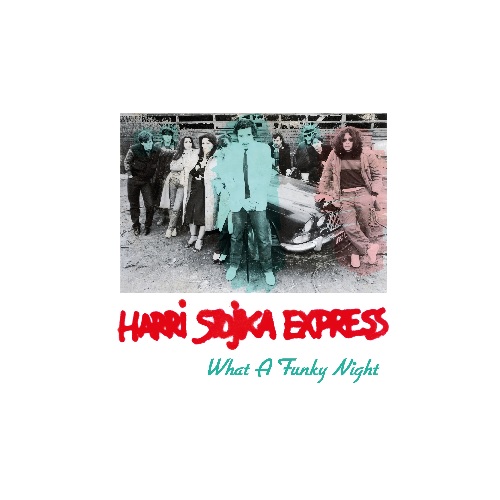 HARRI STOJKA EXPRESS / WHAT A FUNKY NIGHT (12")