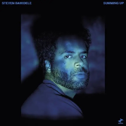 STEVEN BAMIDELE / SUMMING UP (LP)