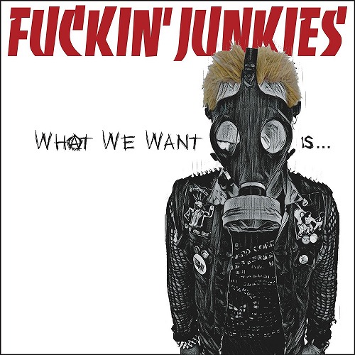 FUCKIN' JUNKIES / What we want is...