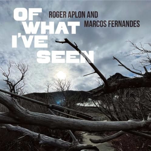 ROGER APLON AND MARCOS FERNANDES / ロジャー・アオウロン&マルコス・フェルナンデス / OF WHAT I'VE SEEN / オブ・ワット・アイヴ・シーン