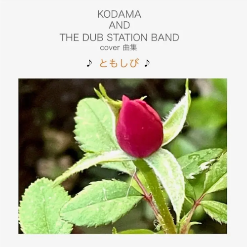 KODAMA AND THE DUB STATION BAND / COVER曲集 ♪ともしび♪