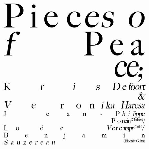 KRIS DEFOORT / クリス・デフォールト / Pieces of Peace(LP)