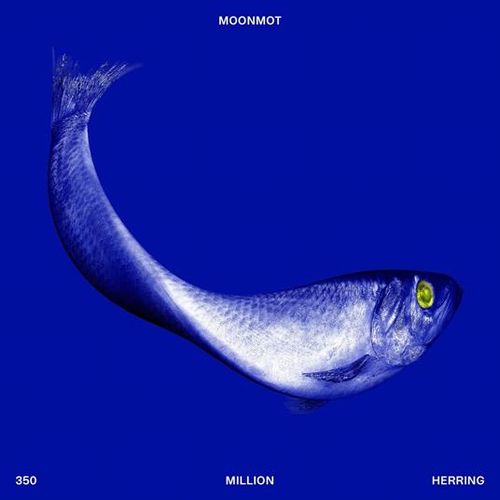 MOONMOT / 350 Million Herring