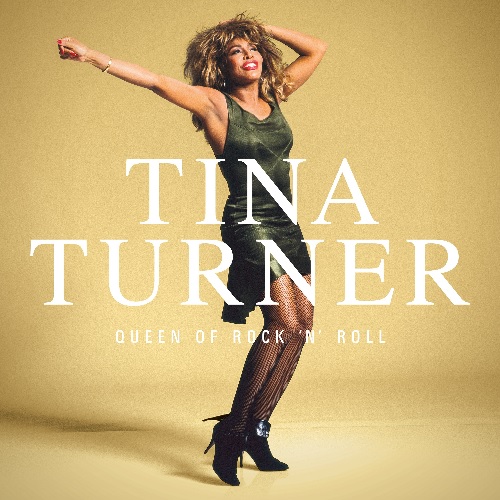 TINA TURNER / ティナ・ターナー / QUEEN OF ROCK 'N' ROLL (5LP)