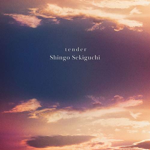 SHINGO SEKIGUCHI / 関口シンゴ / tender (生産限定版:2CD仕様)