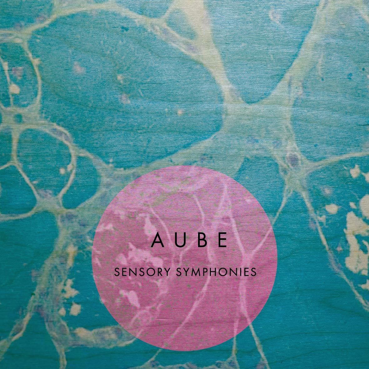 AUBE / オウブ / SENSORY SYMPHONIES (4CD IN WOODEN BOX)