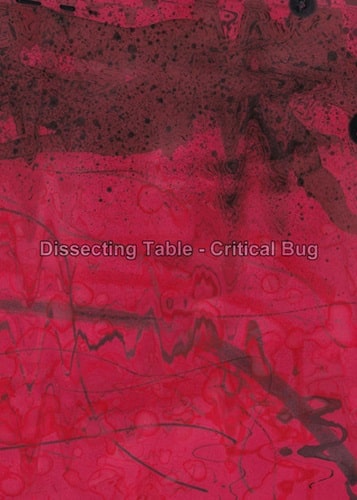 DISSECTING TABLE / ディセクティング・テーブル / CRITICAL BUG(CD-R)