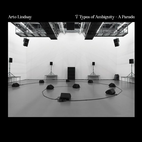 ARTO LINDSAY / アート・リンゼイ / 7 TYPES OF AMBIGUITY - A PARADE (LP)
