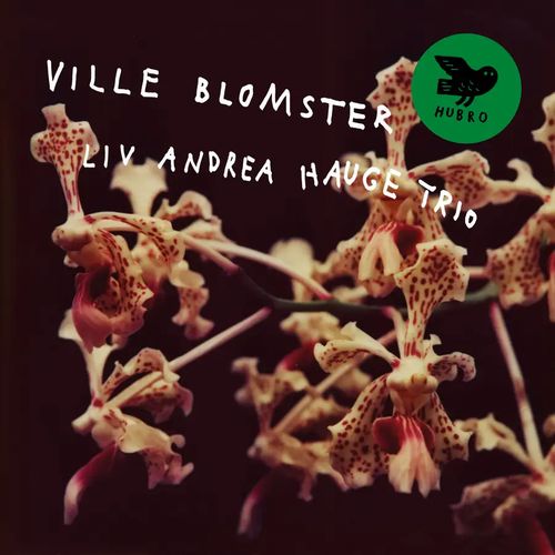 LIV ANDREA HAUGE / Ville Blomster