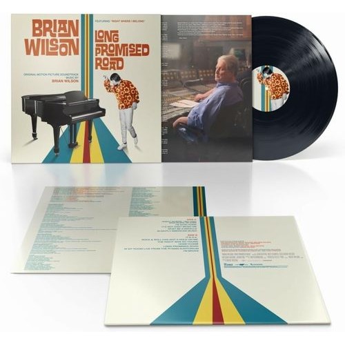 BRIAN WILSON / ブライアン・ウィルソン / BRIAN WILSON: LONG PROMISED ROAD (LP)