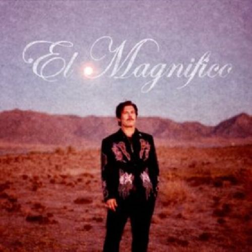 ED HARCOURT / エド・ハーコート / EL MAGNIFICO (LP)