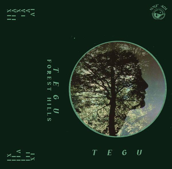 TEGU / FOREST HILLS