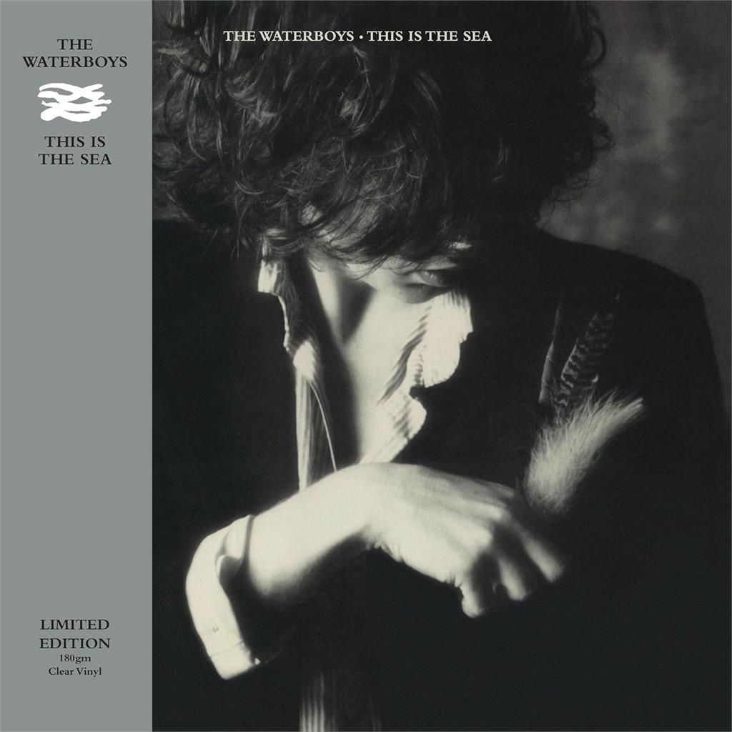 WATERBOYS / ウォーターボーイズ / THIS IS THE SEA (LIMITED EDITION)