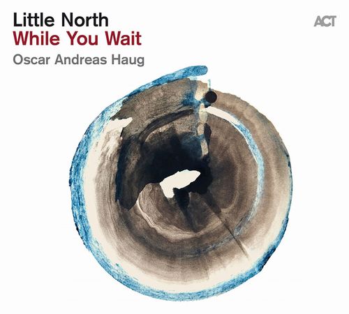 LITTLE NORTH / リトル・ノース / While You Wait(LP)