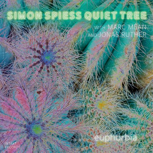 SIMON SPIESS / Euphorbia