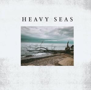 HEAVY SEAS / DISTORTION DAYS