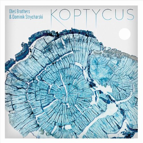 OLES BROTHERS / オレス・ブラザーズ /  Koptycus(LP/WHITE VINYL)